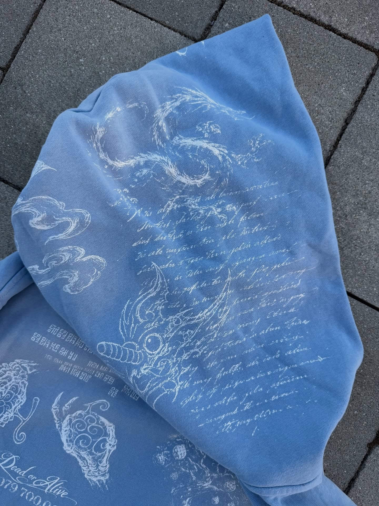 Pirate Zip Up Hoodie