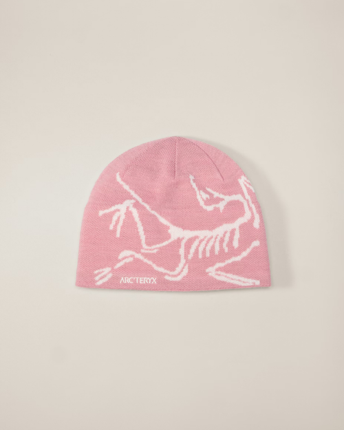 ARC Beanie