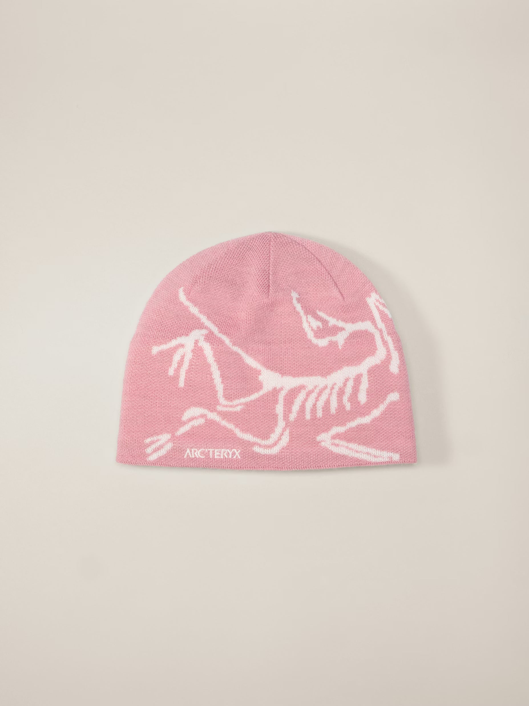 ARC Beanie
