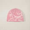 ARC Beanie