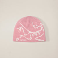 ARC Beanie